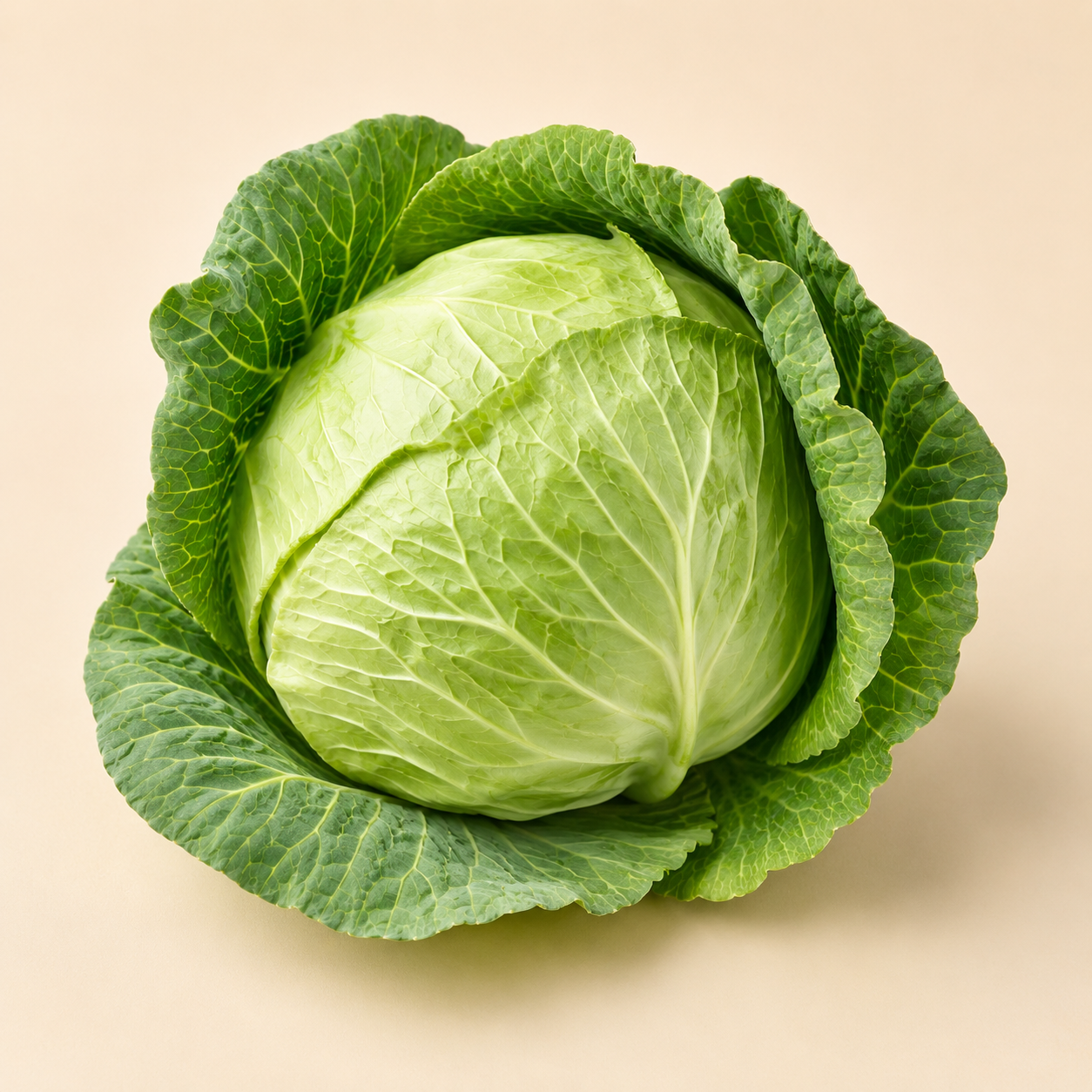 Cabbage